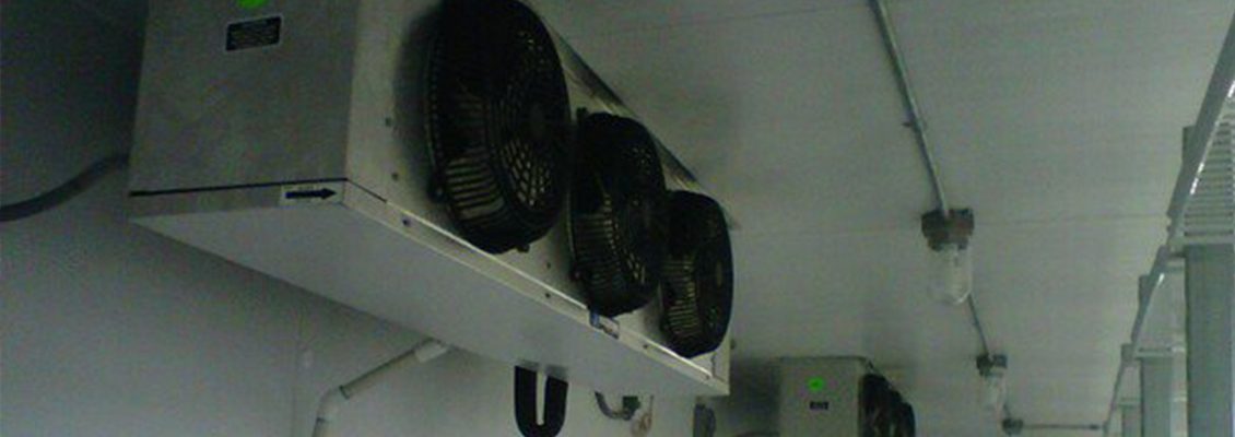 Minimize Your Losses With A Commercial Refrigeration Installation